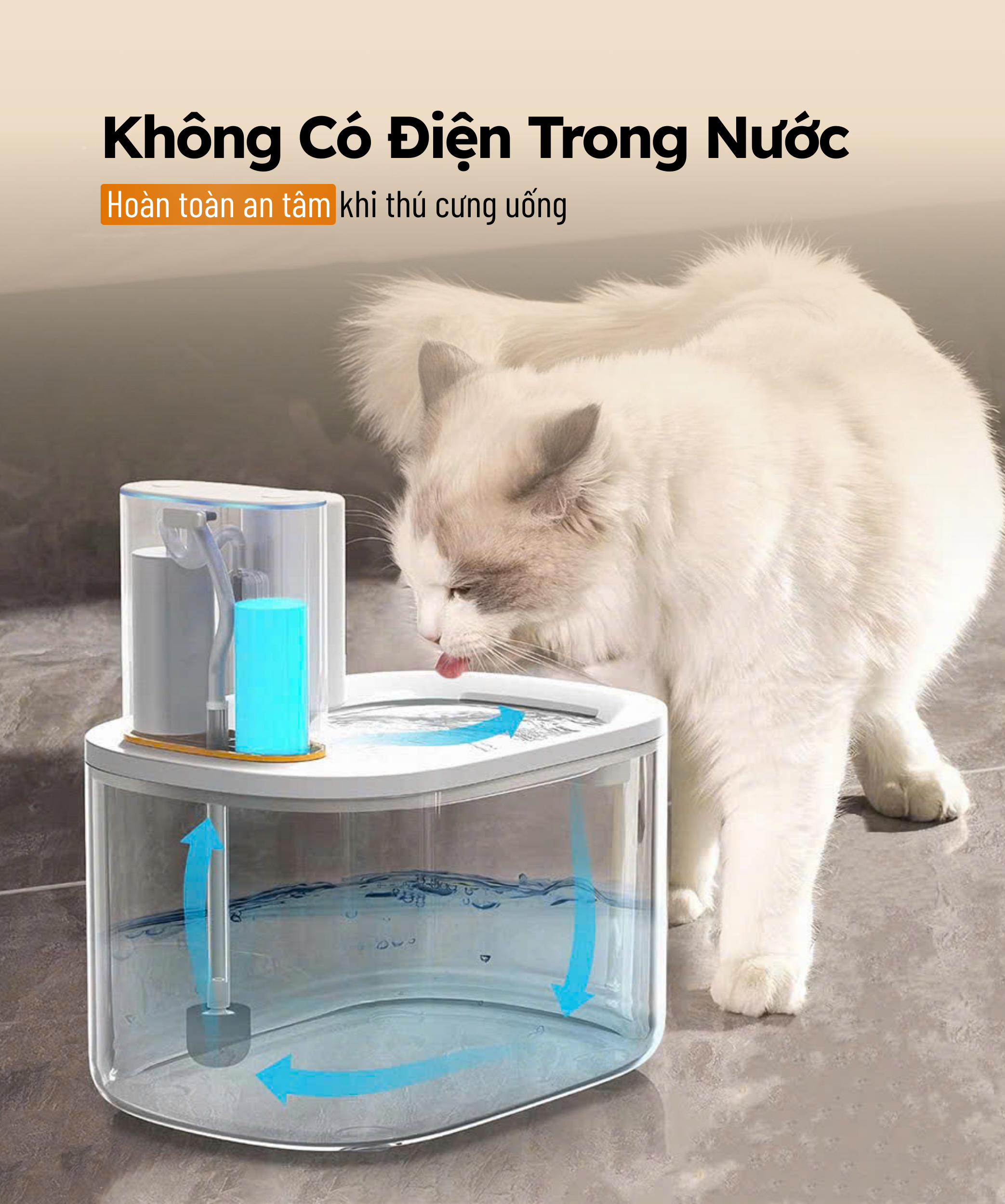 Không Có Điện Trong Nước