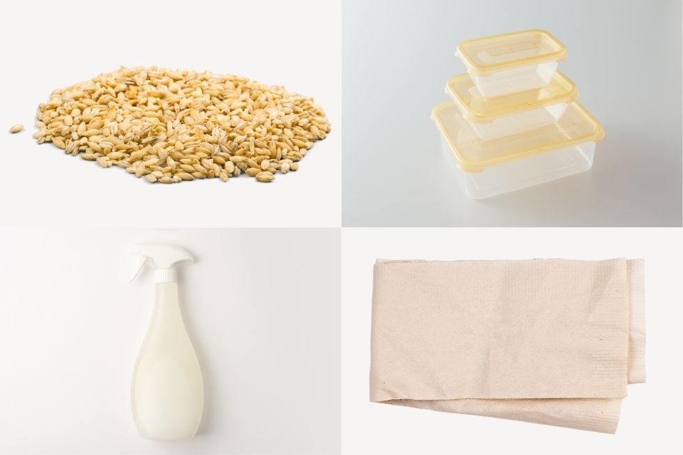 tu-trong-co-meo-tai-nha